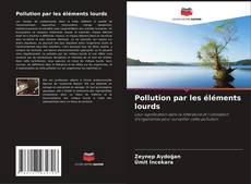 Pollution par les éléments lourds kitap kapağı