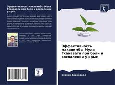 Portada del libro de Эффективность маханимбы Мула Гханавати при боли и воспалении у крыс