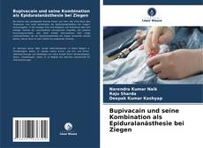 Capa do livro de Bupivacain und seine Kombination als Epiduralanästhesie bei Ziegen 