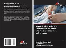 Buchcover von Bupivacaina e la sua combinazione come anestesia epidurale nelle capre