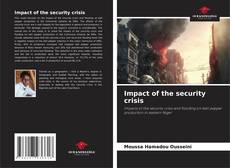 Borítókép a  Impact of the security crisis - hoz