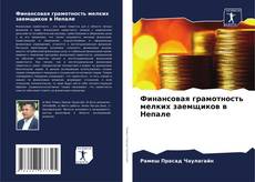 Buchcover von Финансовая грамотность мелких заемщиков в Непале