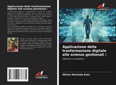 Applicazione della trasformazione digitale alle scienze gestionali : kitap kapağı