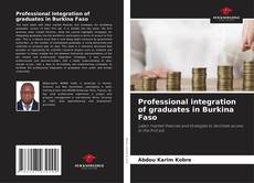 Copertina di Professional integration of graduates in Burkina Faso