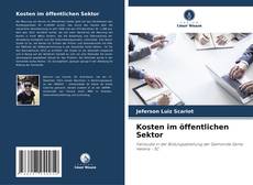 Buchcover von Kosten im öffentlichen Sektor