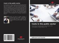 Copertina di Costs in the public sector