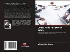 Couverture de Coûts dans le secteur public