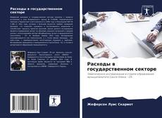 Capa do livro de Расходы в государственном секторе 