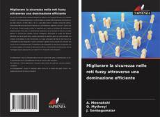 Couverture de Migliorare la sicurezza nelle reti fuzzy attraverso una dominazione efficiente