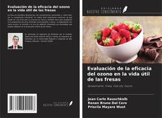 Couverture de Evaluación de la eficacia del ozono en la vida útil de las fresas