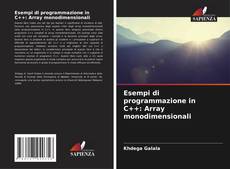 Esempi di programmazione in C++: Array monodimensionali kitap kapağı