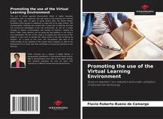 Copertina di Promoting the use of the Virtual Learning Environment