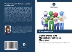 Buchcover von Demokratie und Menschenrechte im Mercosur