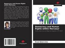 Buchcover von Democracy and Human Rights within Mercosur