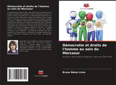 Capa do livro de Démocratie et droits de l'homme au sein du Mercosur 