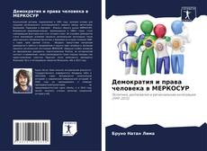 Capa do livro de Демократия и права человека в МЕРКОСУР 