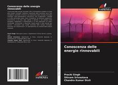 Buchcover von Conoscenza delle energie rinnovabili