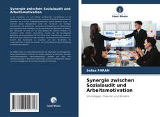 Buchcover von Synergie zwischen Sozialaudit und Arbeitsmotivation