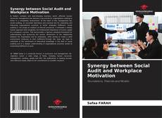 Borítókép a  Synergy between Social Audit and Workplace Motivation - hoz