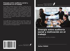 Couverture de Sinergia entre auditoría social y motivación en el trabajo