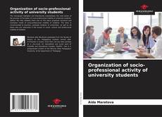 Capa do livro de Organization of socio-professional activity of university students 