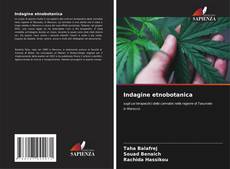 Buchcover von Indagine etnobotanica