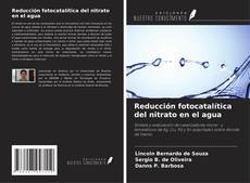 Couverture de Reducción fotocatalítica del nitrato en el agua