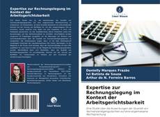 Buchcover von Expertise zur Rechnungslegung im Kontext der Arbeitsgerichtsbarkeit