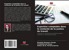 Buchcover von Expertise comptable dans le contexte de la justice du travail