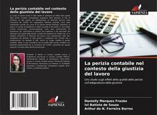 Buchcover von La perizia contabile nel contesto della giustizia del lavoro