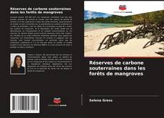 Buchcover von Réserves de carbone souterraines dans les forêts de mangroves