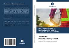 Buchcover von Sicherheit Industriemanagement