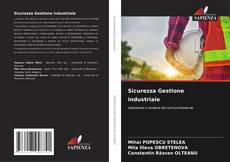 Buchcover von Sicurezza Gestione industriale