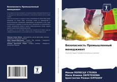 Buchcover von Безопасность Промышленный менеджмент