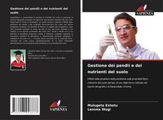 Buchcover von Gestione dei pendii e dei nutrienti del suolo