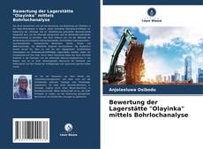 Buchcover von Bewertung der Lagerstätte "Olayinka" mittels Bohrlochanalyse