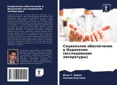 Buchcover von Социальное обеспечение в Индонезии (исследование литературы)