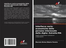 Buchcover von Interfacce socio-economiche delle persone interessate dalle dighe: Estreito-MA