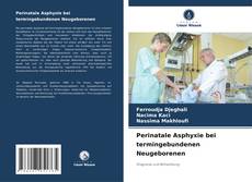 Buchcover von Perinatale Asphyxie bei termingebundenen Neugeborenen