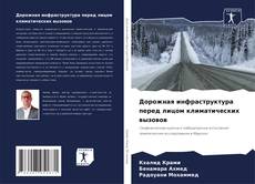 Buchcover von Дорожная инфраструктура перед лицом климатических вызовов