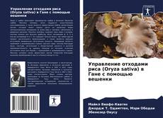 Capa do livro de Управление отходами риса (Oryza sativa) в Гане с помощью вешенки 