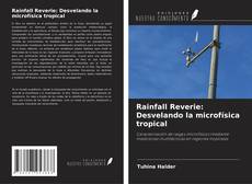 Buchcover von Rainfall Reverie: Desvelando la microfísica tropical