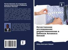 Buchcover von Качественное исследование родовспоможения в Бибиани Анхвиасо Беквай