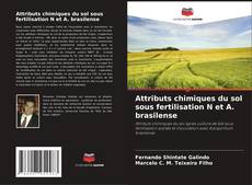 Borítókép a  Attributs chimiques du sol sous fertilisation N et A. brasilense - hoz