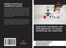 Copertina di Hydrolytic hydrolysis and hydrogenation of carbon-containing raw materials
