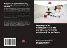 Buchcover von Hydrolyse et hydrogénation des matières premières contenant du carbone