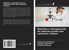 Couverture de Hidrólisis e hidrogenación de materias primas que contienen carbono