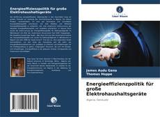 Buchcover von Energieeffizienzpolitik für große Elektrohaushaltsgeräte