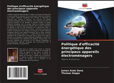 Buchcover von Politique d'efficacité énergétique des principaux appareils électroménagers