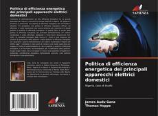 Buchcover von Politica di efficienza energetica dei principali apparecchi elettrici domestici